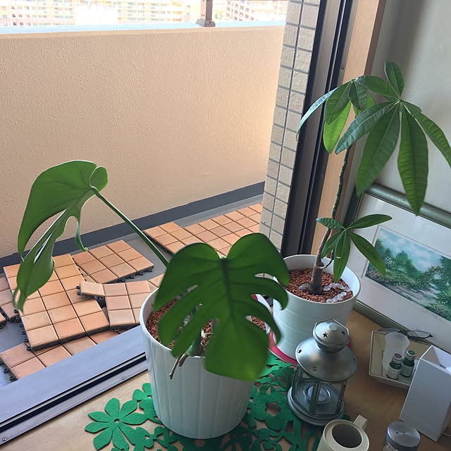 natuさんの実例写真