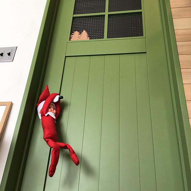 yymsさんの実例写真