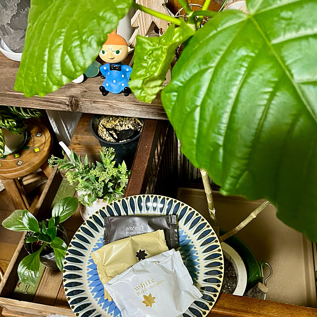 cotaさんのお部屋の写真