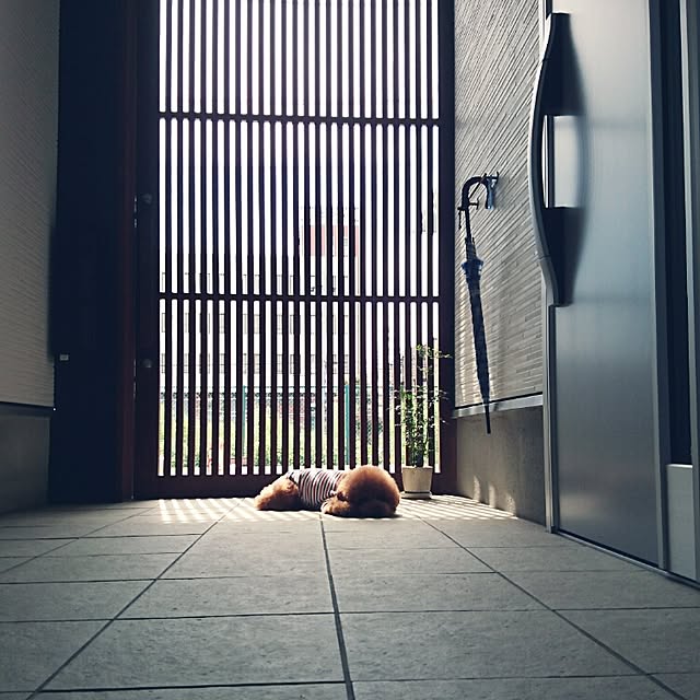 reiさんの実例写真