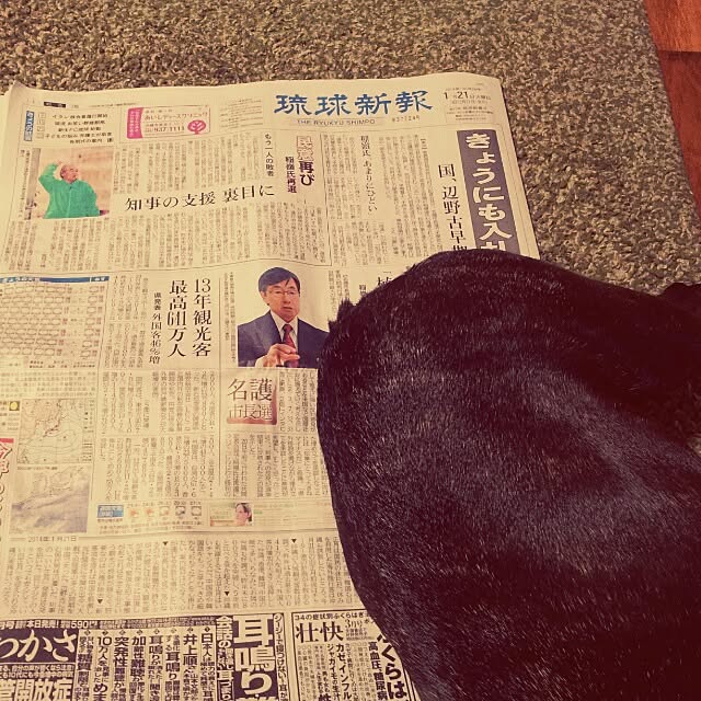 suzyさんの実例写真