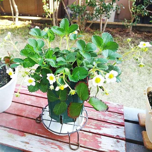 katさんの実例写真