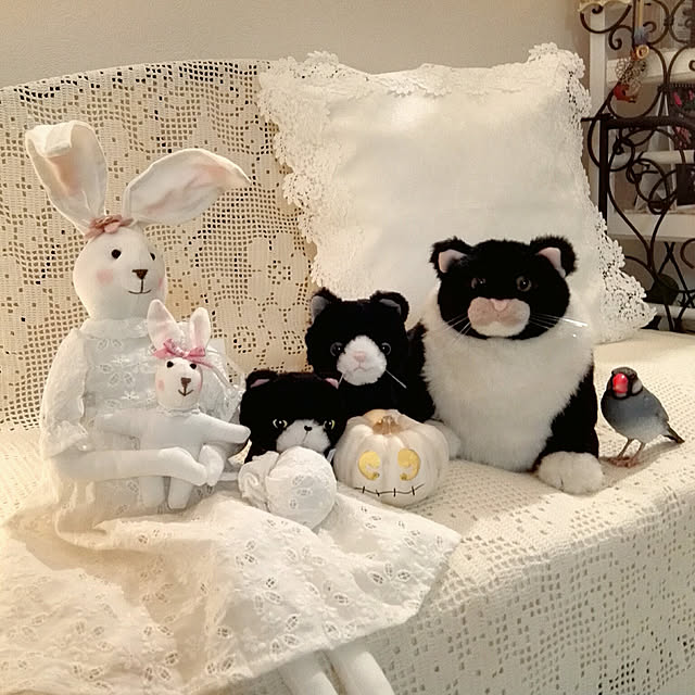 faunさんの実例写真