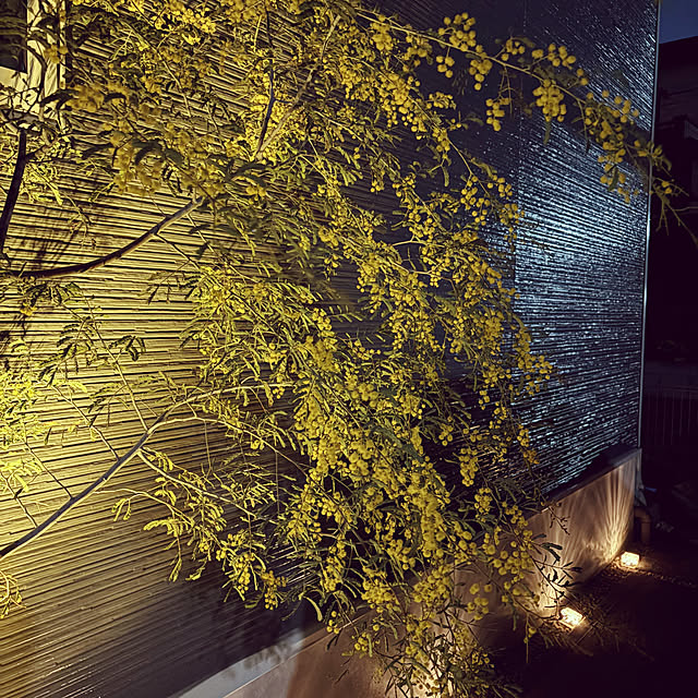 ruruさんの実例写真