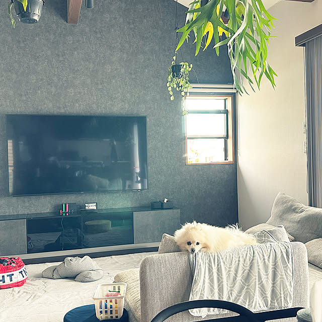 mysnhr10さんの実例写真