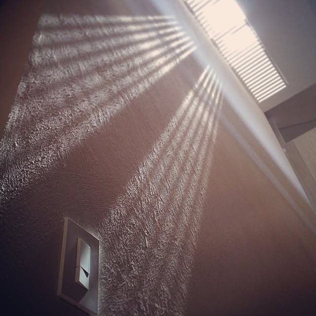 Sachiさんの実例写真