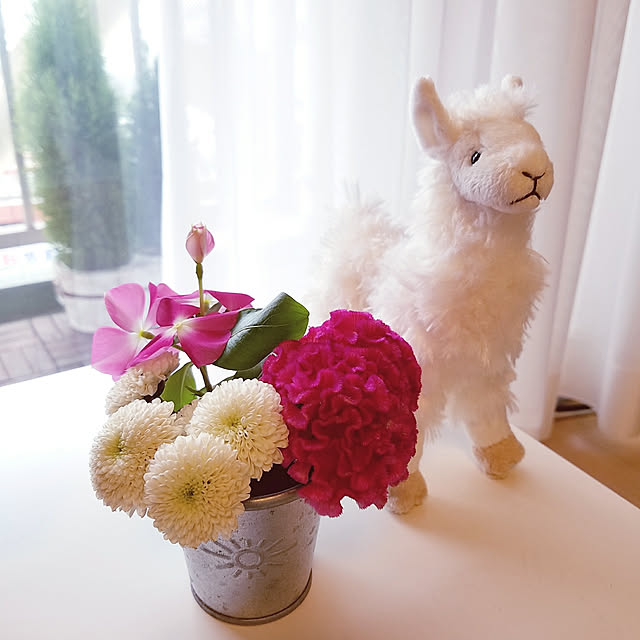 yukie-tanさんの実例写真