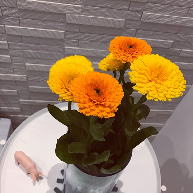 riakanaさんの実例写真
