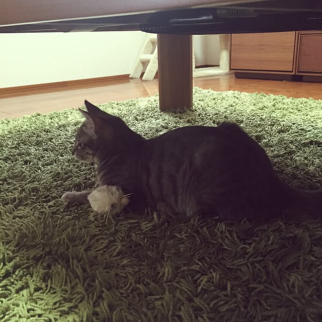 beruさんの実例写真