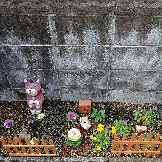 fukuさんの実例写真