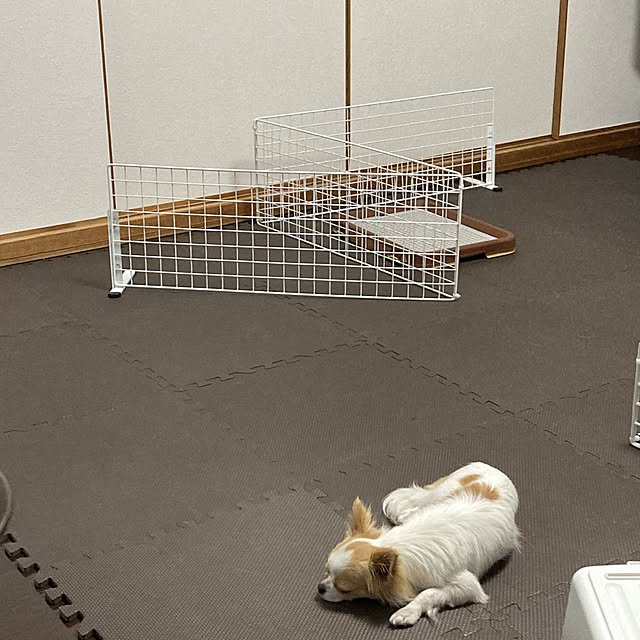 toratanさんの実例写真