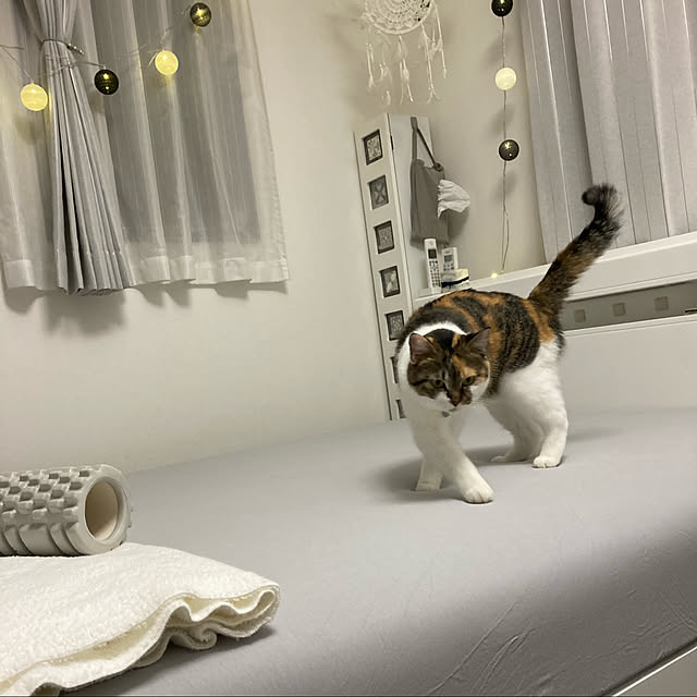 tomotomoさんの実例写真
