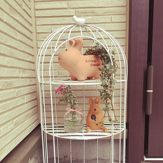 umeringo3さんの実例写真