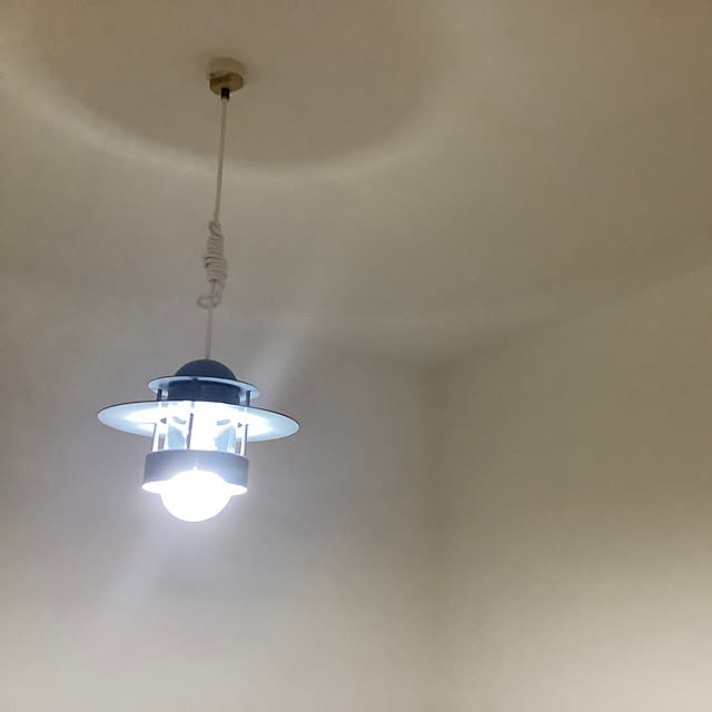 壁/天井/照明器具/RoomClipアンケートのインテリア実例 - 2023-08-01 20:03:51