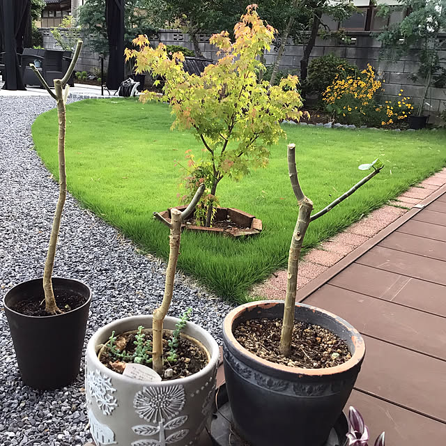 houenさんの部屋