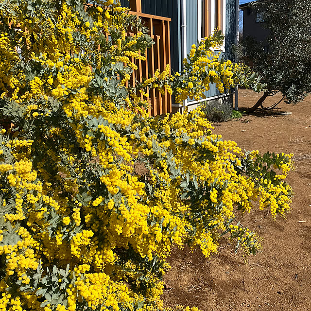 qk2vz4fy8h35kbnfw63nさんの実例写真