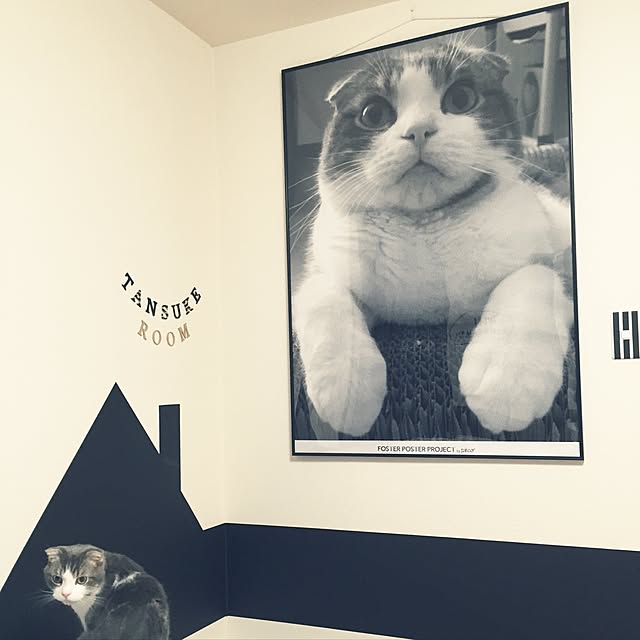 tansukeさんの実例写真