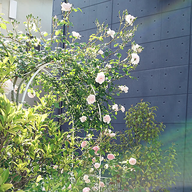 Bienvenueさんの実例写真