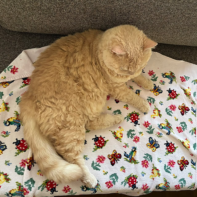 naokoさんの部屋