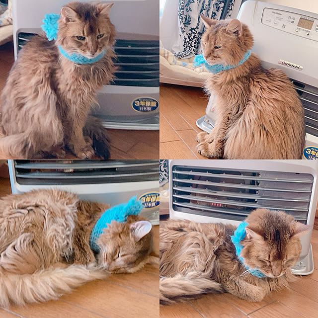 yukarinさんの実例写真