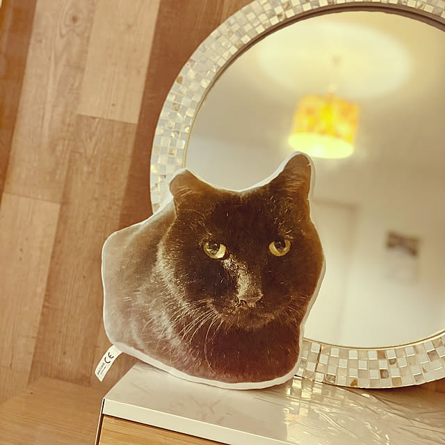 Maiさんの部屋