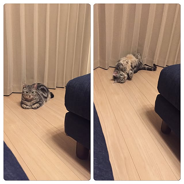 y.k.0123さんの実例写真