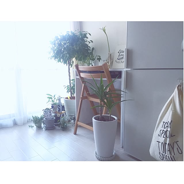Saoriさんの実例写真