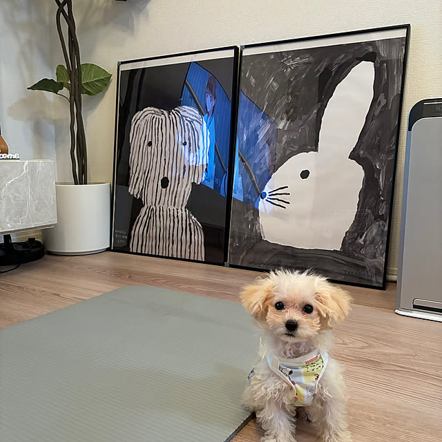 yupaさんの実例写真