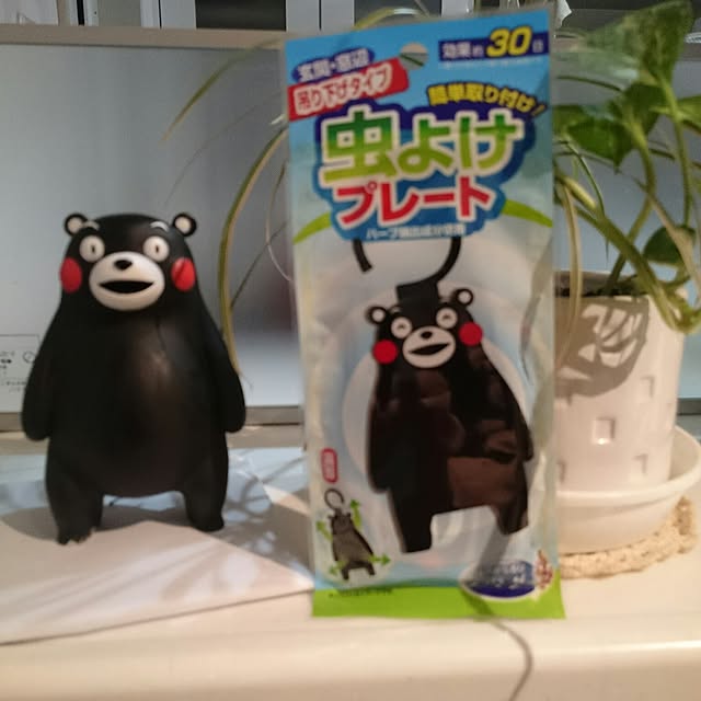 fuyugonさんの実例写真