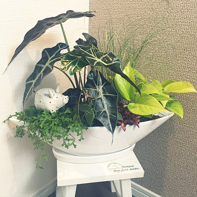 totanさんの実例写真
