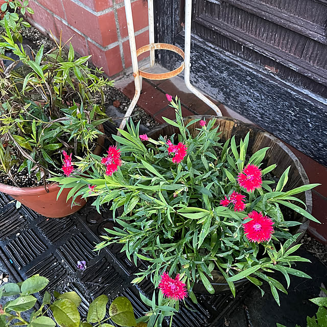 shin0719さんの部屋