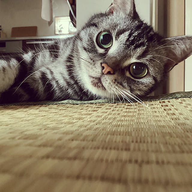richanさんの実例写真