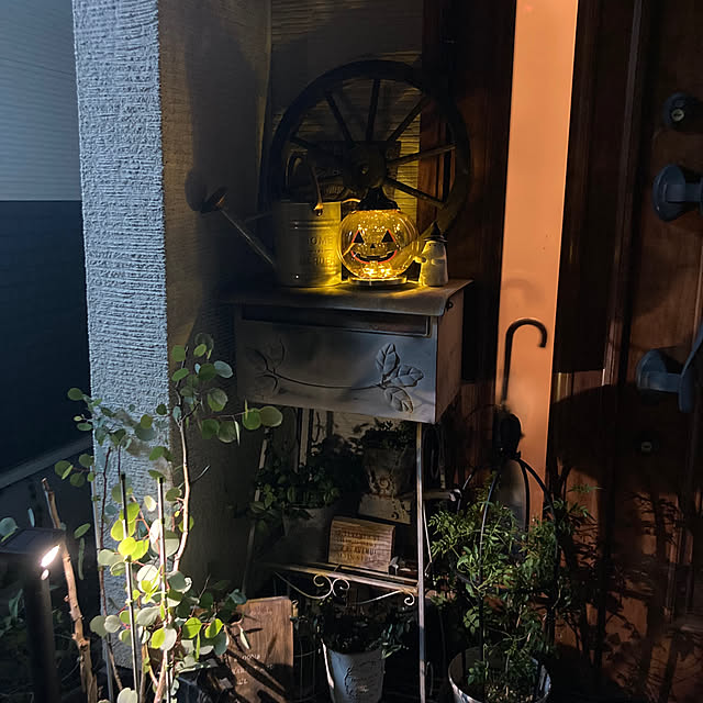 anko.hibuさんの実例写真