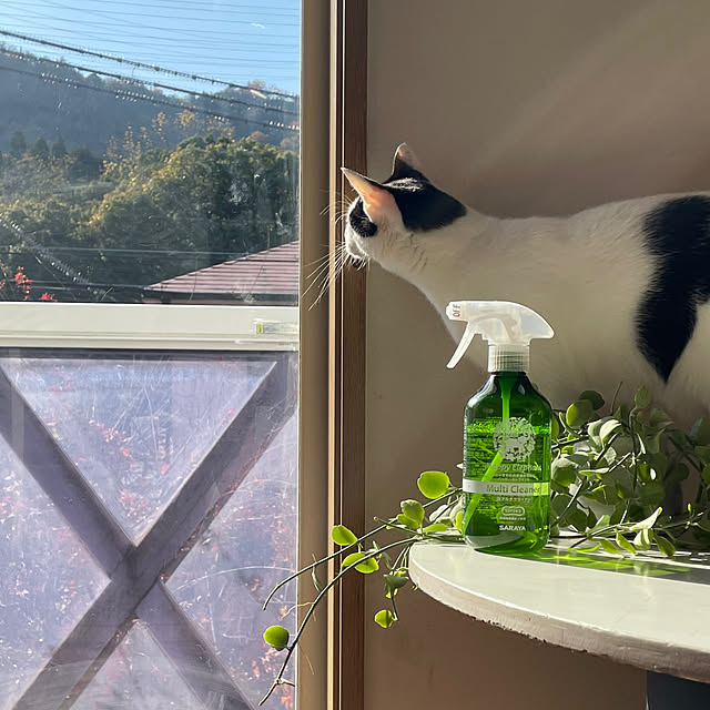 nobikoさんの実例写真