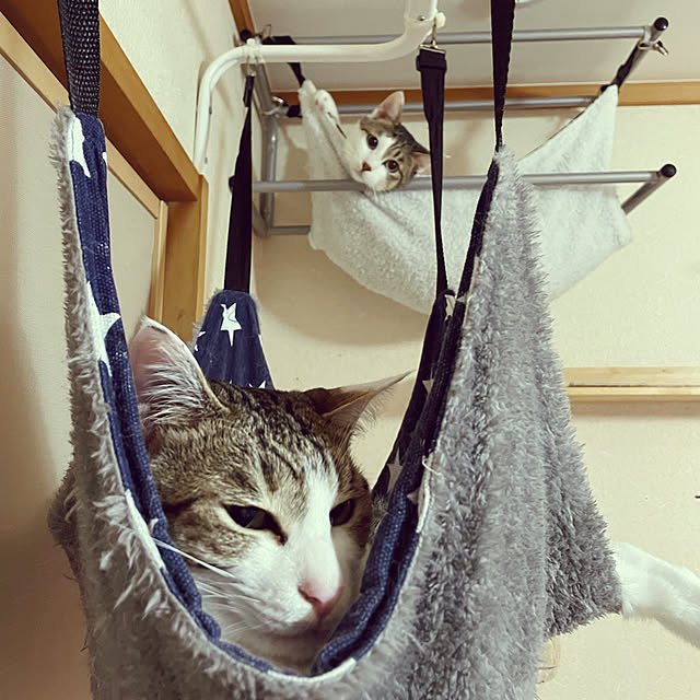 Lufuさんの実例写真