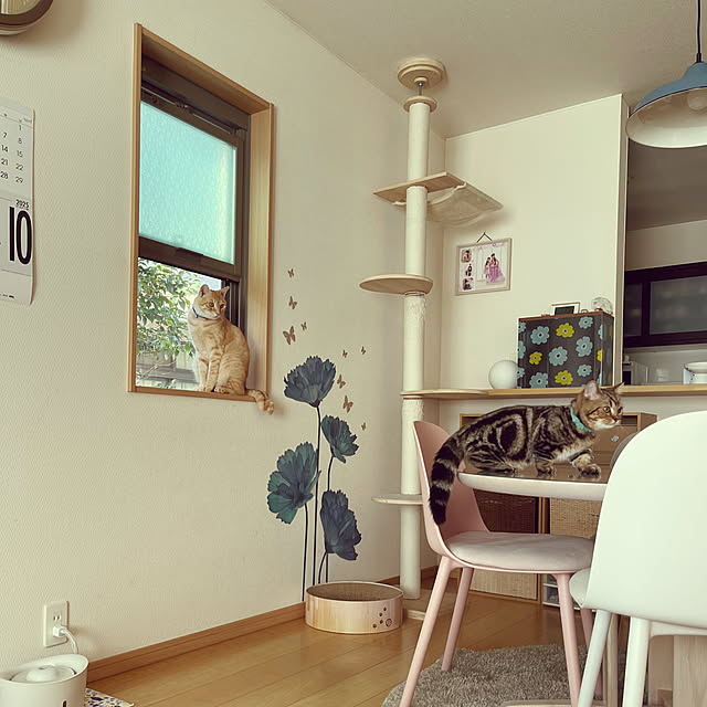 chiiさんの部屋