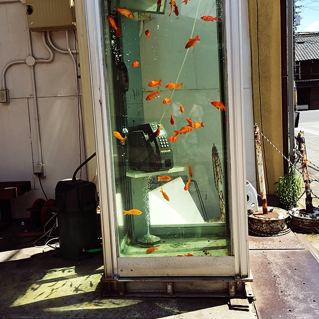 実例写真