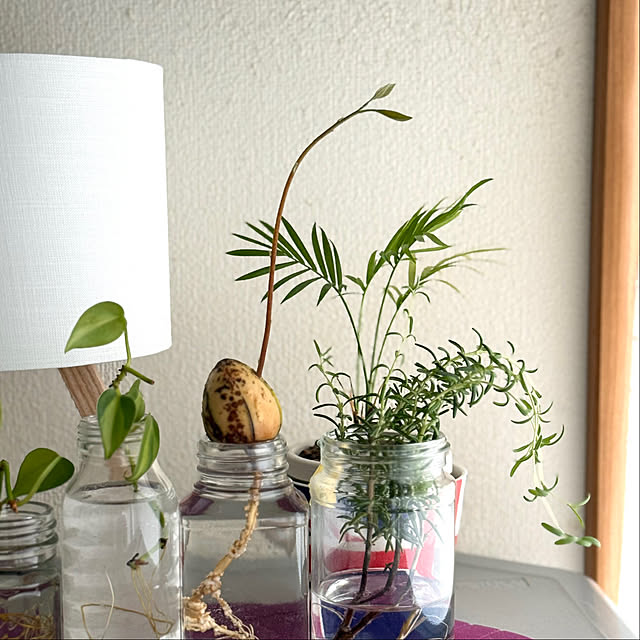 cat-number9さんの実例写真