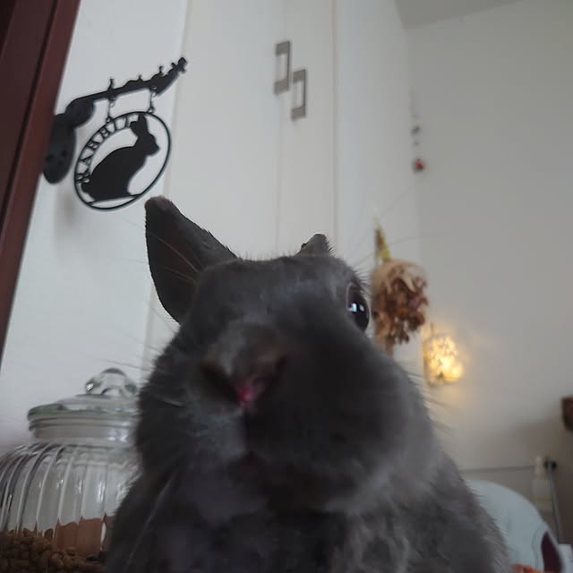 kirariさんの部屋