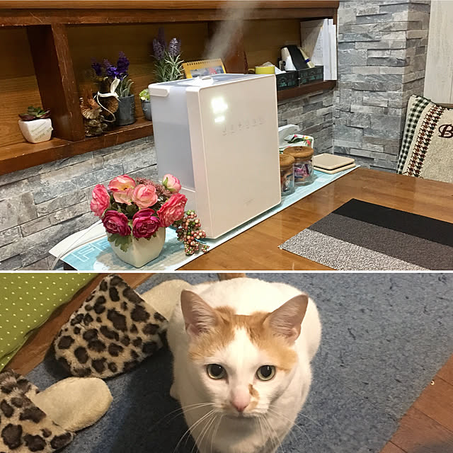 tututu0204さんの実例写真