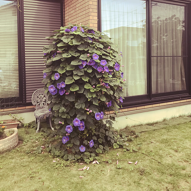 玄関/入り口のインテリア実例 - 2019-07-10 07:17:34