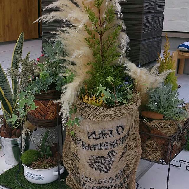 玄関/入り口/手作り/植物/リメイク/ダイソーのインテリア実例 - 2014-09-12 21:37:12