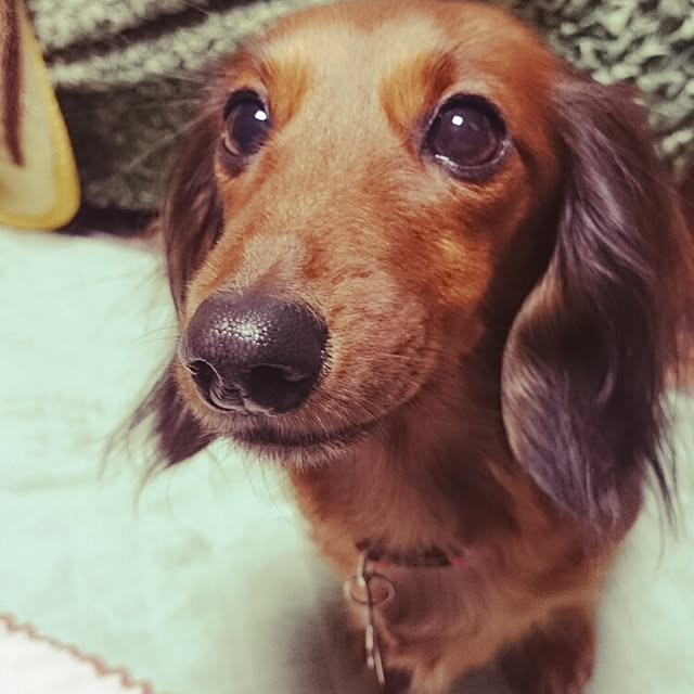 andさんの実例写真