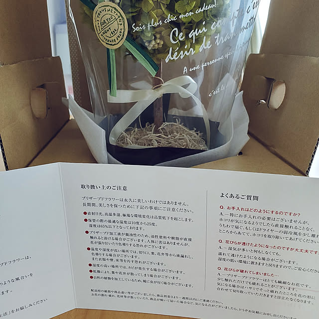 icchiさんの実例写真