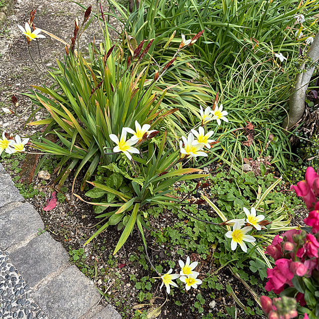 ritsukoさんの部屋