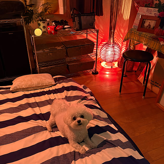 Sachikoさんの部屋