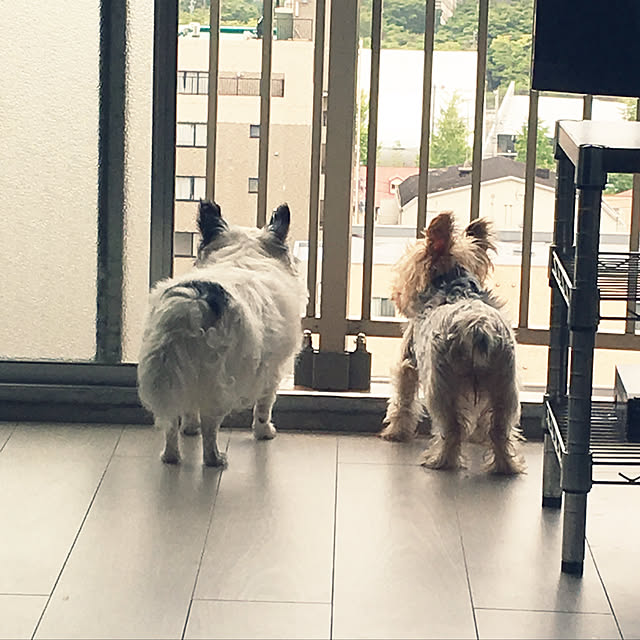 ohanaさんの実例写真