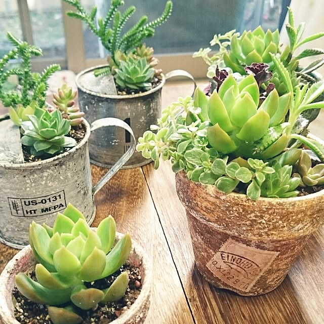 asiangreen25さんの実例写真
