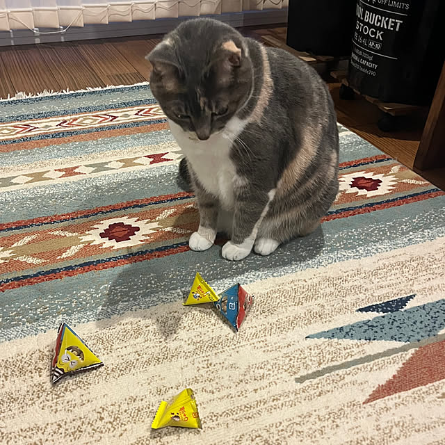 yoshibuさんの部屋