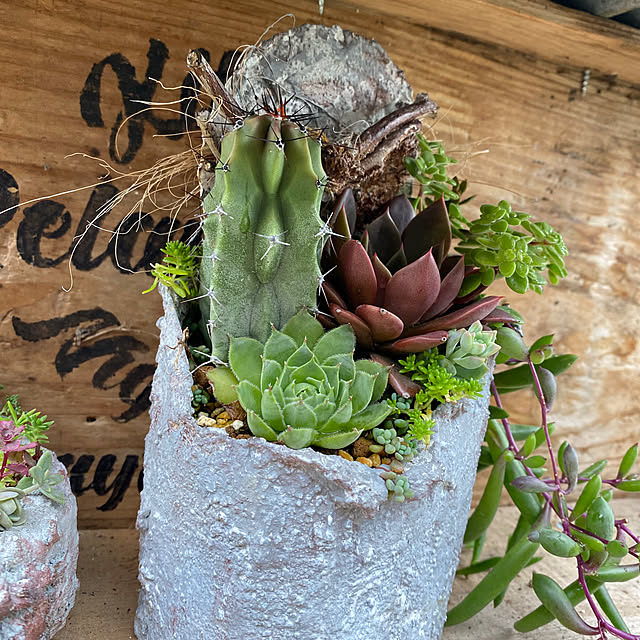 0103_eriさんの実例写真